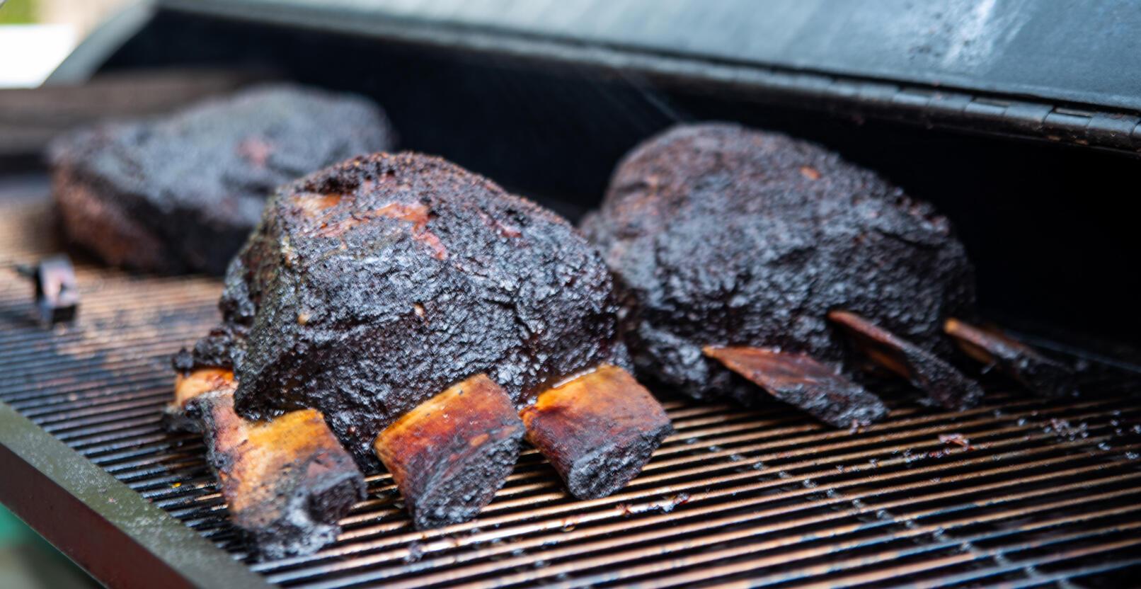 Dino Ribs